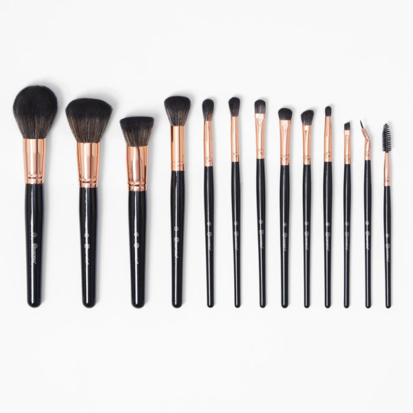 BH 13 Piece Brush Set - Image 5