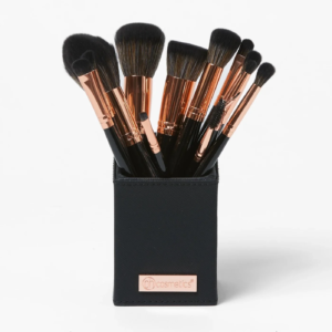 BH 13 Piece Brush Set
